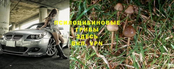 PSILOCYBIN Арсеньев