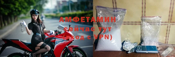 трава Аркадак