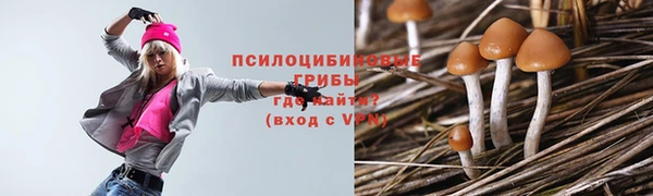 mdpv Баксан