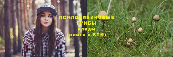 соль ск Балабаново
