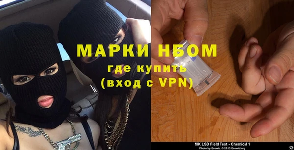 трава Аркадак
