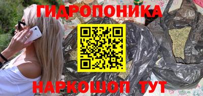 хмурый Бийск