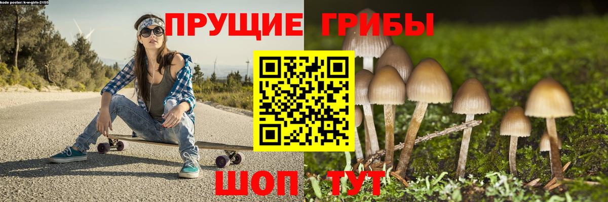 продажа наркотиков  Галлюциногенные грибы Cubensis  Балабаново  Вход с VPN  Псилоцибиновые грибы прущие грибы 